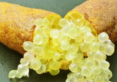 Microcitrus australasica – Citron caviar – Microcitrus, pépinière